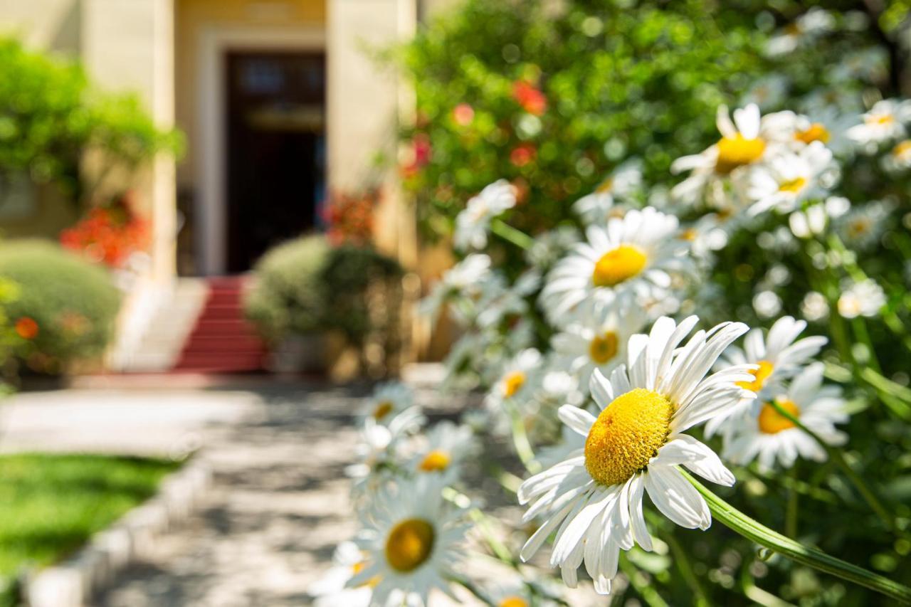 Hotel Villa Elisa & Spa Bordighera Ngoại thất bức ảnh