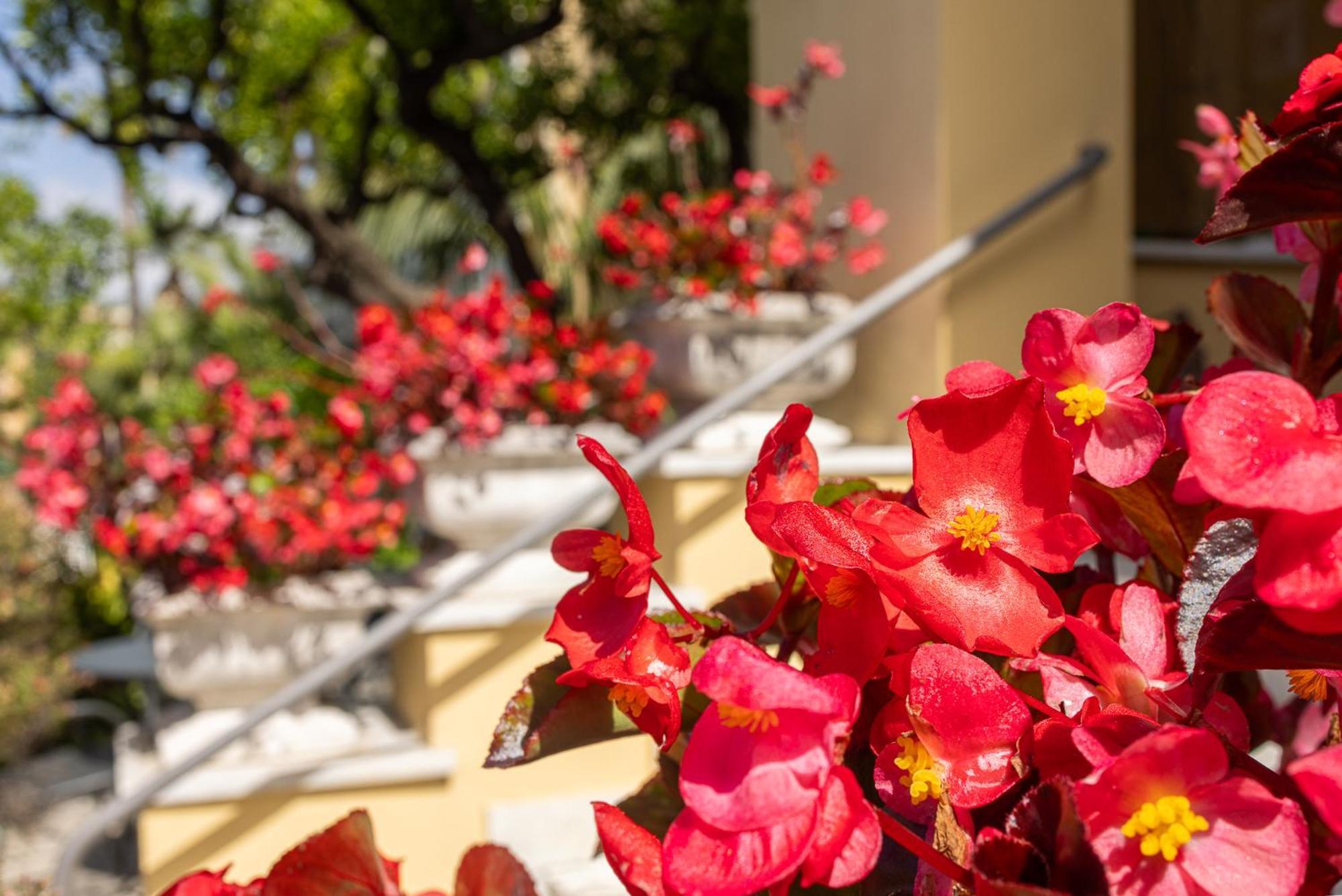 Hotel Villa Elisa & Spa Bordighera Ngoại thất bức ảnh