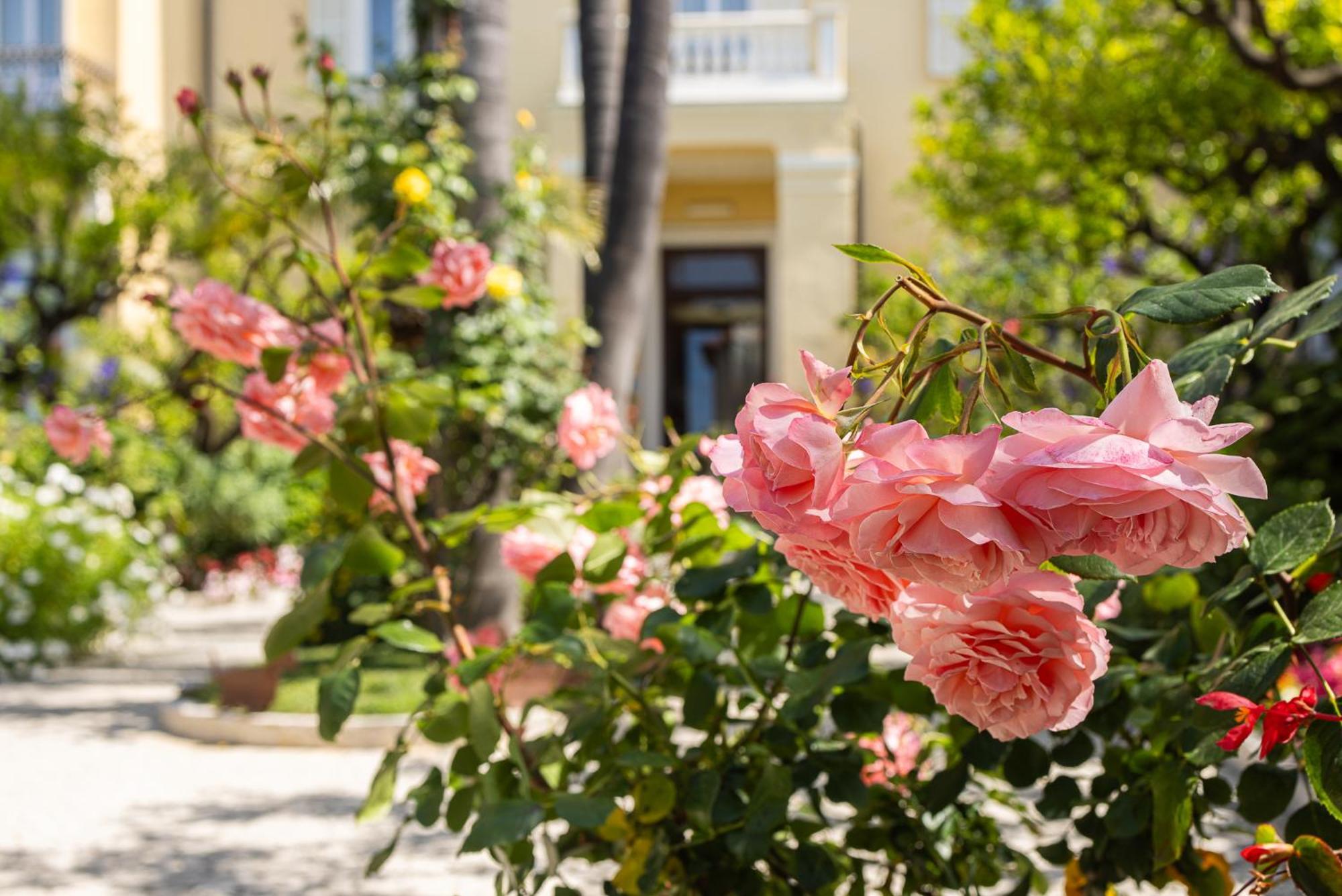 Hotel Villa Elisa & Spa Bordighera Ngoại thất bức ảnh