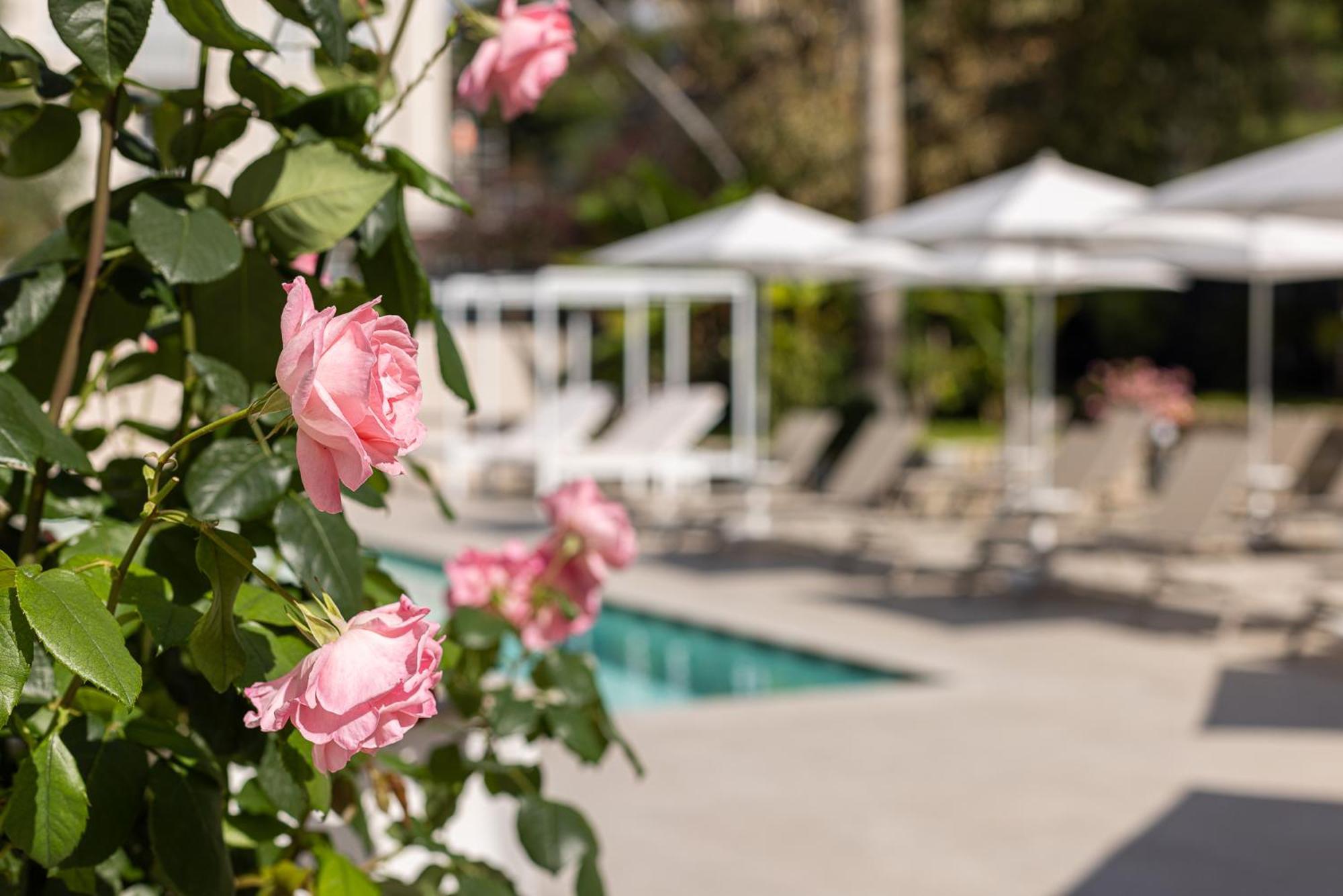 Hotel Villa Elisa & Spa Bordighera Ngoại thất bức ảnh