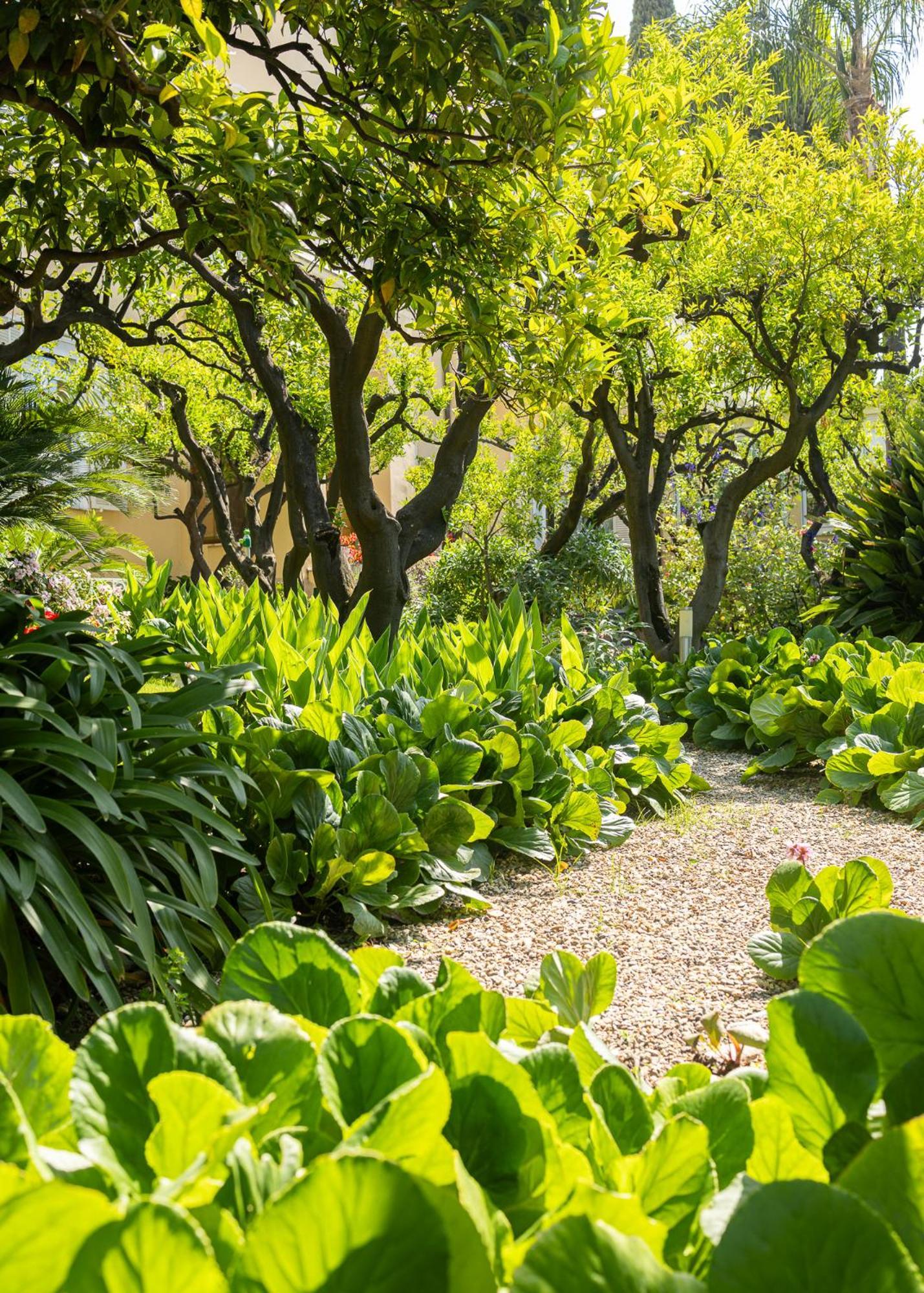 Hotel Villa Elisa & Spa Bordighera Ngoại thất bức ảnh